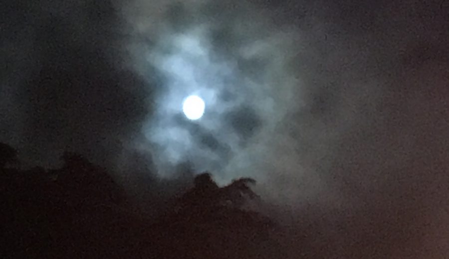 La Fête de la Lune au Château Guiraud