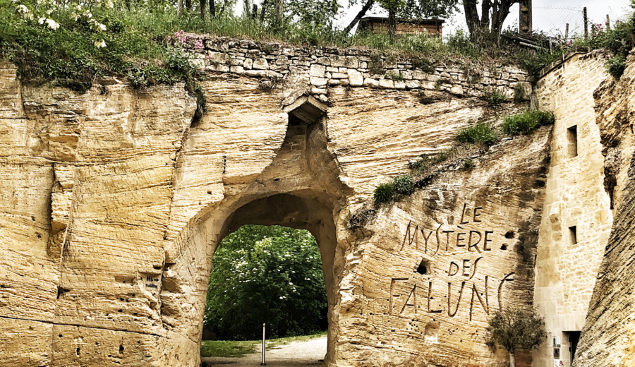 TOP 12 des choses à faire autour de Saumur | Dodo, resto, vin et chevaux