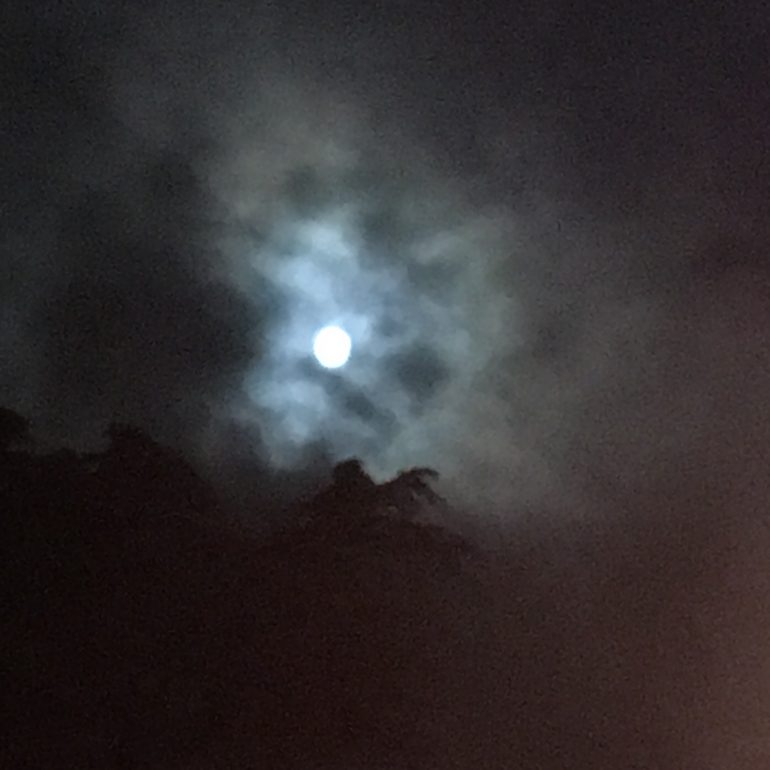 The feast of the Moon at the Château Guiraud