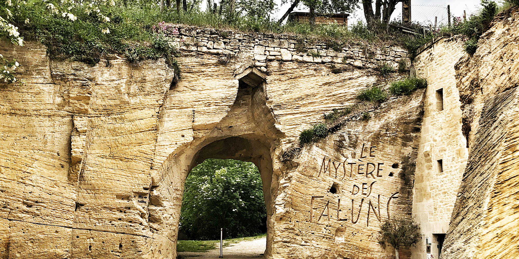 TOP 12 des choses à faire autour de Saumur | Dodo, resto, vin et chevaux