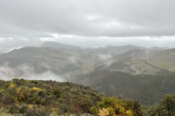 À Collioure, savourez des vins entre mer et montagne