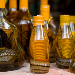Top 5 des vins les plus bizarres au monde