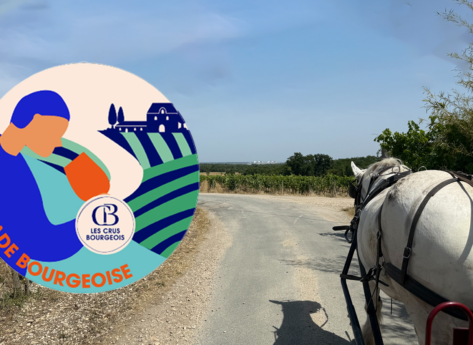Les Crus Bourgeois du Médoc : un classement engagé et des escapades à savourer