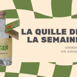 Bouteille de Girond’Gin London Dry Gin, projet étudiant de l’EFAP, distillé en Gironde, étiquette végétale et élégante sur fond clair.