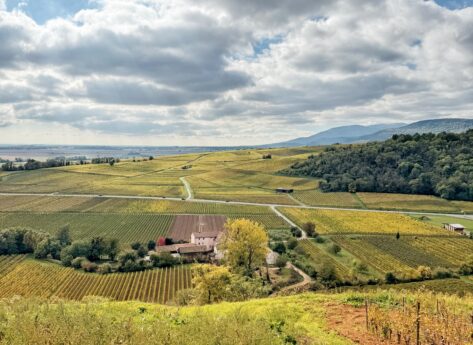 2025 en bouteille : les coups de cœur de Marie