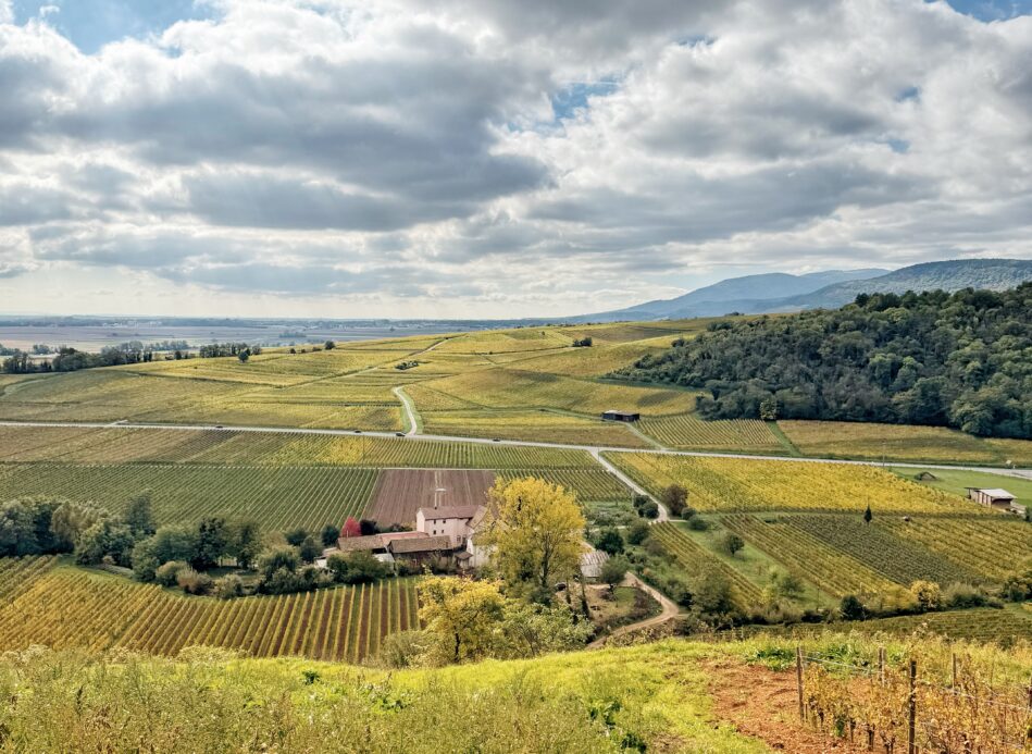 2025 en bouteille : les coups de cœur de Marie