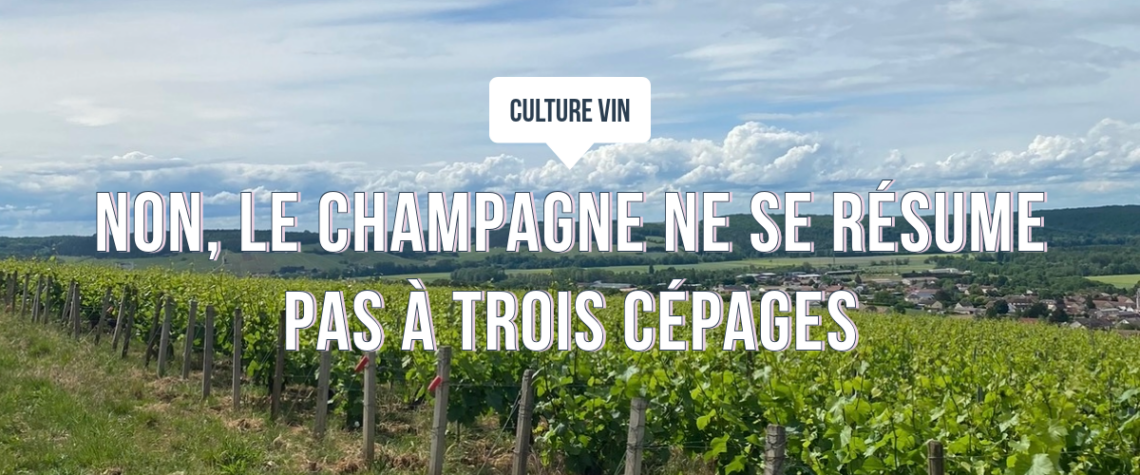 Vignoble de Champagne sous un ciel d’été, rangs de vignes verdoyants illustrant la diversité des cépages champenois et la richesse du terroir.
