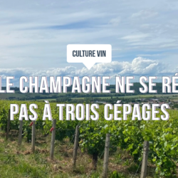 Non, le champagne ne se résume pas à trois cépages