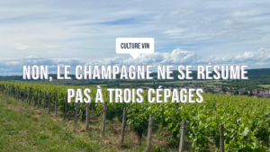 Vignoble de Champagne sous un ciel d’été, rangs de vignes verdoyants illustrant la diversité des cépages champenois et la richesse du terroir.