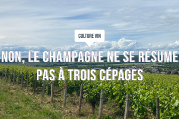 Vignoble de Champagne sous un ciel d’été, rangs de vignes verdoyants illustrant la diversité des cépages champenois et la richesse du terroir.