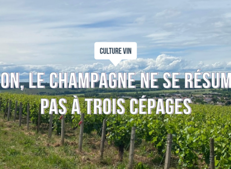 Non, le champagne ne se résume pas à trois cépages