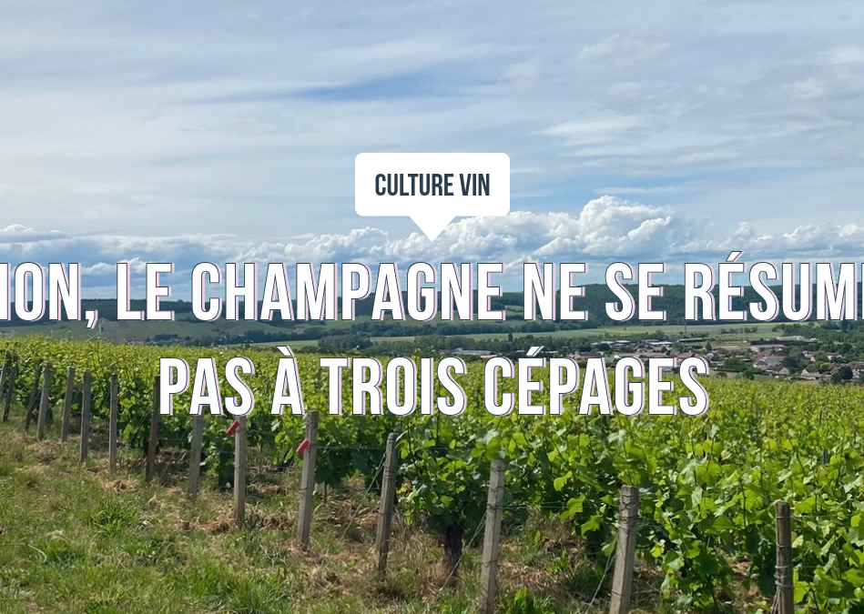 Non, le champagne ne se résume pas à trois cépages