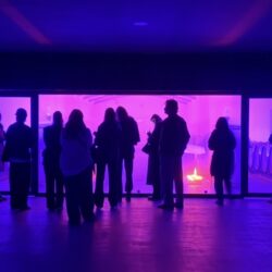 Visiteurs devant le chai à barriques illuminé de violet au Château Lamothe-Bergeron pendant les Portes Ouvertes du Médoc