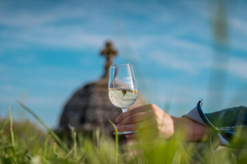 7 bonnes raisons d’aller au Printemps des Vins de Blaye les 11 et 12 avril