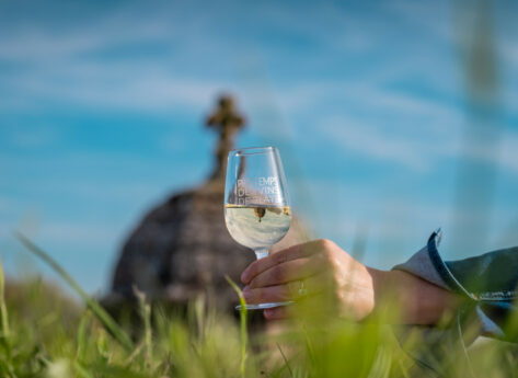 7 bonnes raisons d’aller au Printemps des Vins de Blaye les 11 et 12 avril