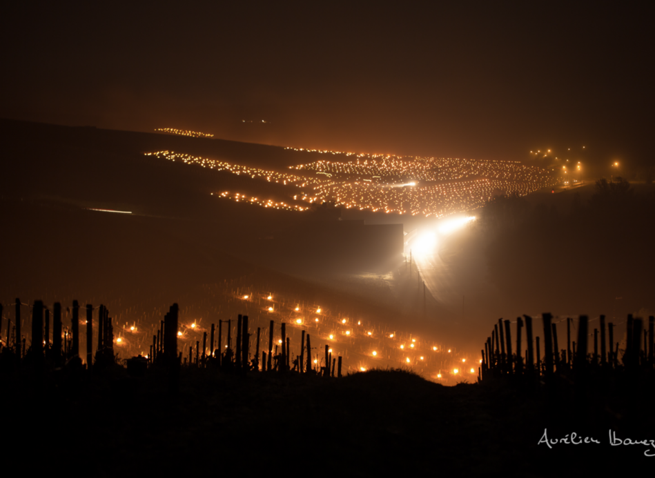 Les armes anti-gel : efficaces ou dérisoires ? Quand les vignerons jouent leur récolte à crédit