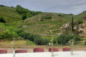 La Balade Gourmande de Saint-Désirat fête ses 10 ans : immersion sensorielle au cœur des vignobles du Rhône Nord