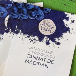 Bleu Tannat : et si le Madiran n’était plus le vin que vous pensez ?