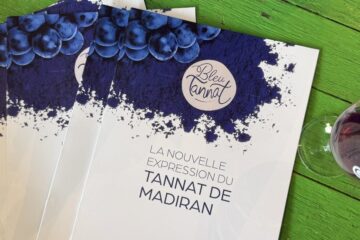 Dossier Bleu Tannat Madiran posé sur table en bois vert avec verre de vin rouge lors d’une dégustation