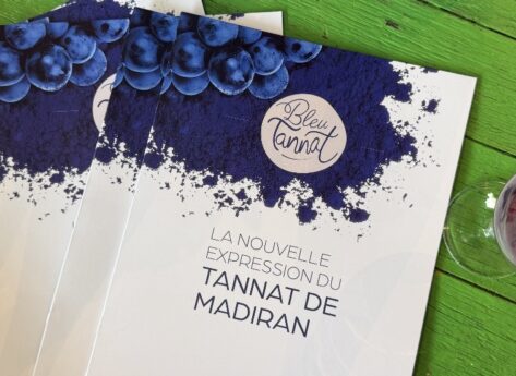 Bleu Tannat : et si le Madiran n’était plus le vin que vous pensez ?