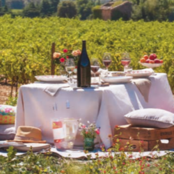 Table dressée au cœur des vignes de l'appellation Grignan-les-Adhémar, en Drôme provençale, avec une bouteille de vin, des verres et un déjeuner en plein air.