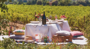 Table dressée au cœur des vignes de l'appellation Grignan-les-Adhémar, en Drôme provençale, avec une bouteille de vin, des verres et un déjeuner en plein air.