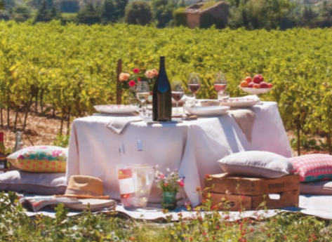 Grignan-les-Adhémar : le secret le mieux gardé de la Vallée du Rhône