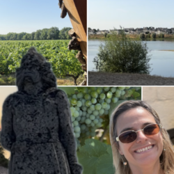 L'équipe de Dumnacus Vignerons dans le vignoble du Val de Loire lors d'une visite de la cave coopérative.
