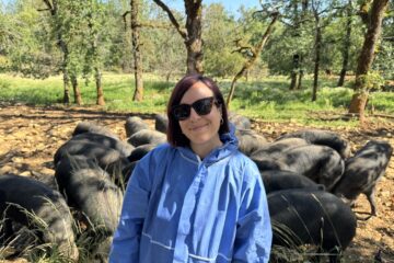 À deux pas de Cahors, la Ferme du Tessou sublime le porc noir gascon