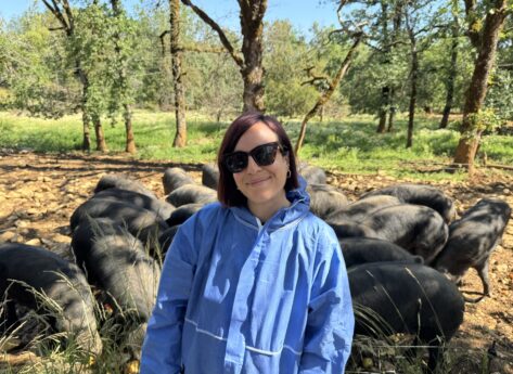 À deux pas de Cahors, la Ferme du Tessou sublime le porc noir gascon
