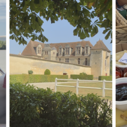 Expérience œnotouristique à Bordeaux : dégustation des Petites Bulles du Château Le Grand Verdus à bord de La Garonnaise, visite du château et apéritif de produits locaux sur la Garonne.