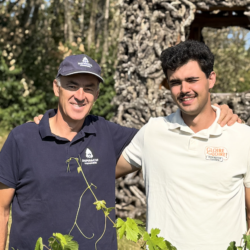 Sylvain et Théophile Brault dans les vignes dans le Val de Loire