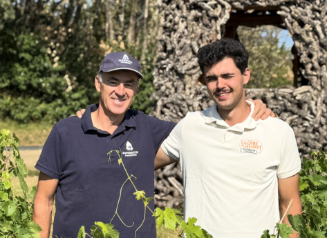 Transmettre sans imposer : chez les Brault, la vigne se passe de génération en génération