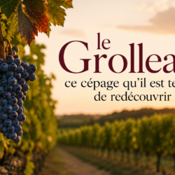 Le Grolleau, ce cépage qu’il est temps de redécouvrir
