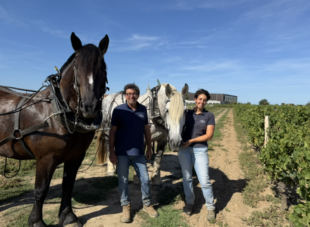 Sébastien et Juliette Bouetz posent avec deux chevaux de Cheval des Vignes dans une parcelle viticole