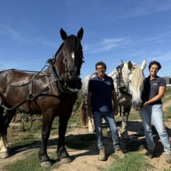 Sébastien et Juliette Bouetz avec les chevaux Kelly et Griotte dans une parcelle de vigne.